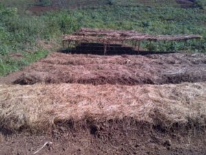 Agroécologie dans l'approche colline