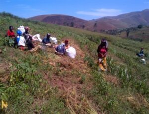 Agroécologie dans l'approche colline