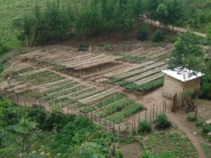 Site de pépinière de Bangwe