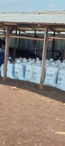 Centre Diobass à Inera Mulungu