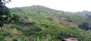 Paysages à restaurer