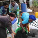 Production des Charbons écologiques pour la Préservation de la Biodiversité