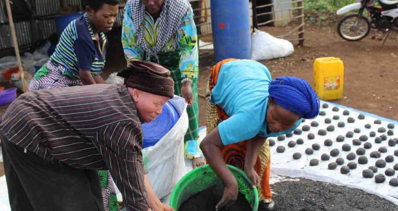 Production des Charbons écologiques pour la Préservation de la Biodiversité