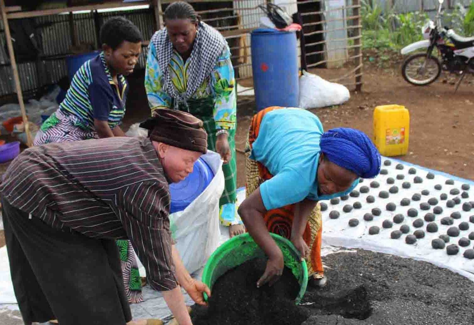 Production des Charbons écologiques pour la Préservation de la Biodiversité