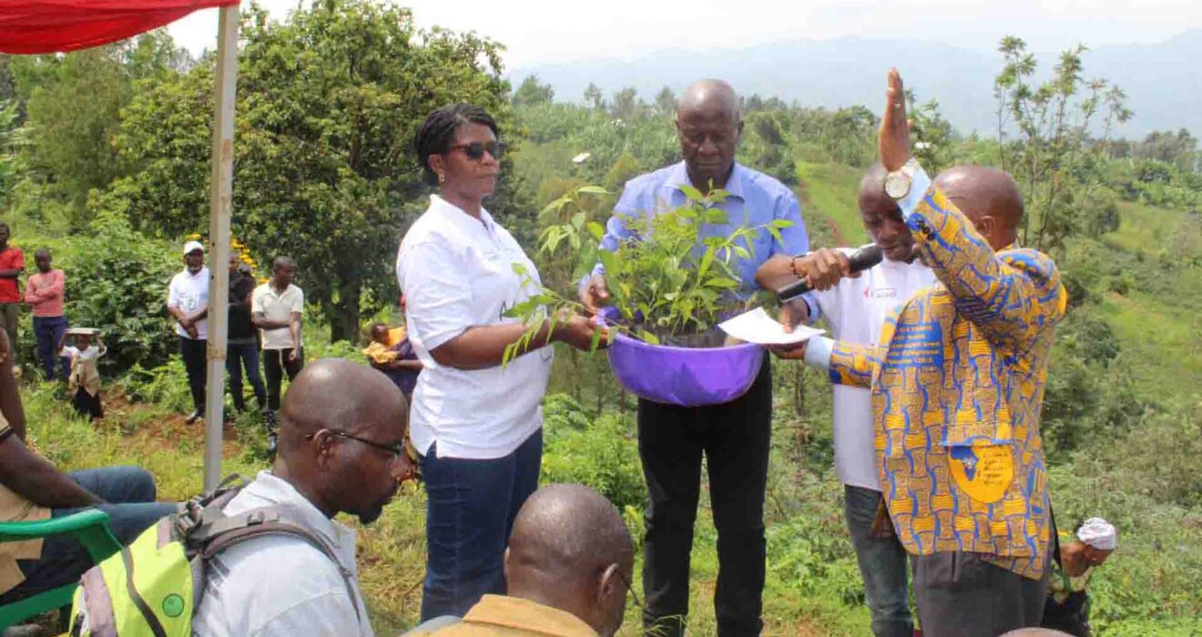 Campagne de Plantation d'arbres