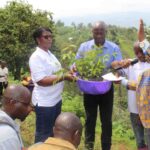 Campagne de Plantation d'arbres