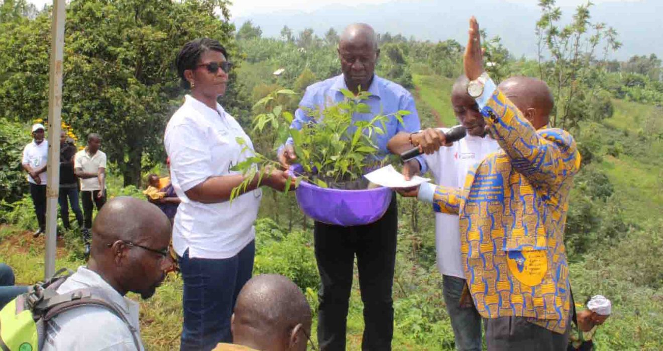 Campagne de Plantation d'arbres