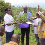 Campagne de Plantation d'arbres