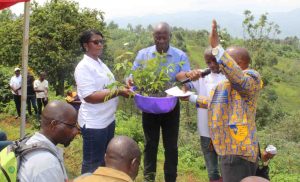 Campagne de Plantation d'arbres