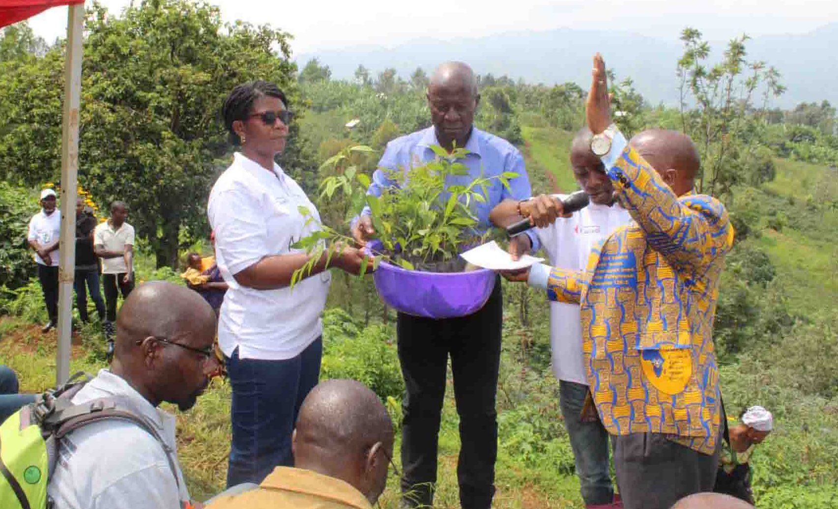 Campagne de Plantation d'arbres