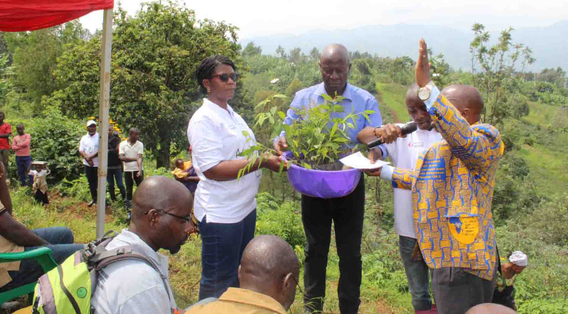 Campagne de Plantation d'arbres