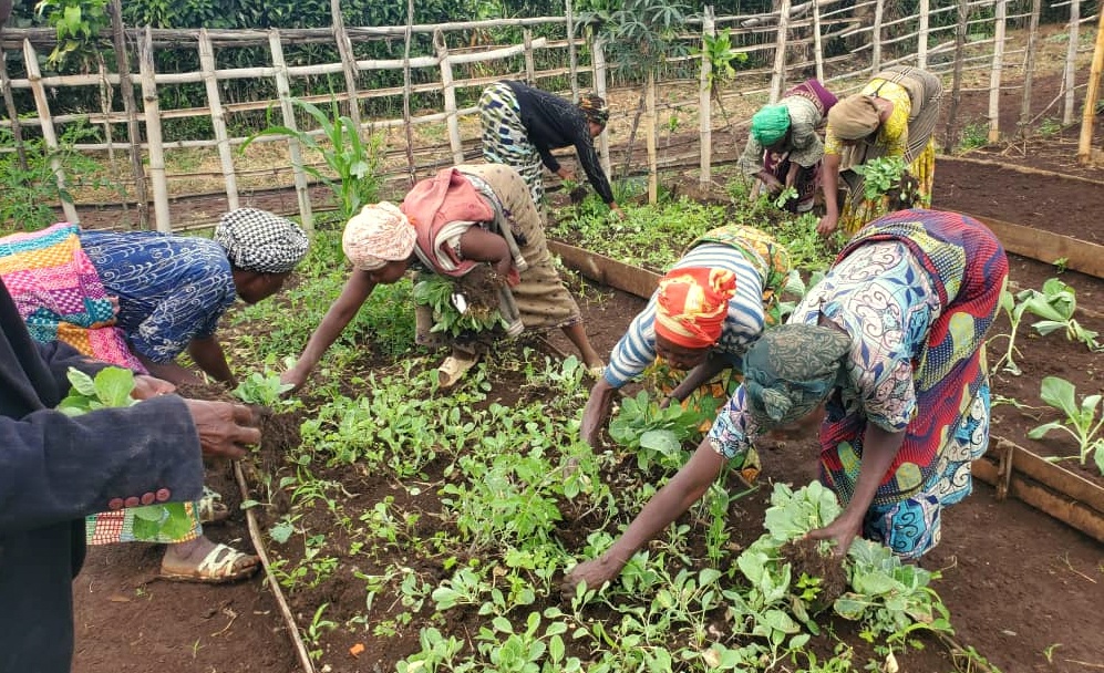 Solutions fondées sur la nature : Activités de maraichage à Nyamakana