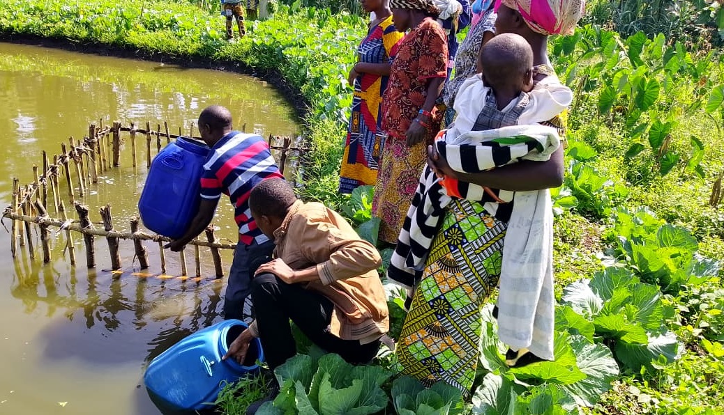 Distribution d’alevins et d’aliments de poisson à Kahungu/Kabare