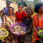 Pêche de poissons Tilapia par des femmes de Katana en territoire de Kabare