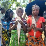 Pêche de poissons Clarias par des femmes et jeunes filles de Kabare